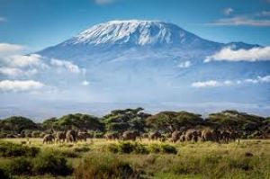  West Kilimanjaro view